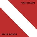 Miniatyrbillede 1 af 2: VAN HALEN - DIVER DOWN (CD)