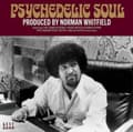 Miniatyrbillede 2 af 2: Various Artists - Psychedelic Soul - Produced By Norm (CD)
