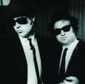 Miniatyrbillede 1 af 2: BLUES BROTHERS - THE VERY BEST OF THE BLUES BRO (CD)