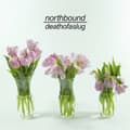 Pikkukuva 1 / 2: Northbound - Death Of A Slug (CD)