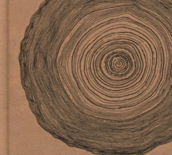 Ó - Year Of The Rabbit (Deluxe Cd (CD)