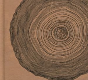 Ó - Year Of The Rabbit (Deluxe Cd (CD)