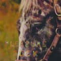 Miniatyrbilde 2 av 2: Spirit Of The Beehive - Pleasure Suck (CD)