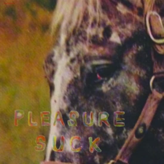 Spirit Of The Beehive - Pleasure Suck (CD)