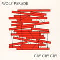 Pikkukuva 1 / 2: Wolf Parade - Cry Cry Cry (CD)