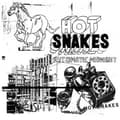 Miniatyrbilde 1 av 2: Hot Snakes - Automatic Midnight (Re-Issue) (CD)