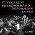 Miniatyrbild 1 av 2: Segall Ty & The Freedom Band - Deforming Lobes (CD)