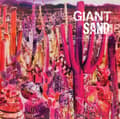 Miniatyrbilde 2 av 2: Giant Sand - Recounting The Ballads Of Thin Line (CD)