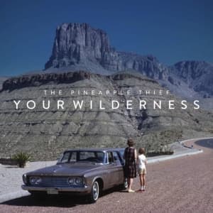 Pineapple Thief - Your Wilderness (CD)