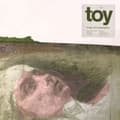 Miniatyrbild 1 av 2: Toy - Songs Of Consumption (CD)