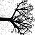 Miniatyrbilde 1 av 2: Foxhole - We The Wintering Tree (CD)
