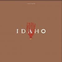 Stirrup+6 - Avondale Addition (CD)