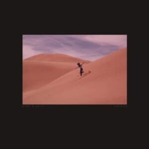 Bing & Ruth - Species (CD)