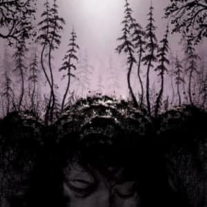Birds Of Passage - This Kindly Slumber (CD)