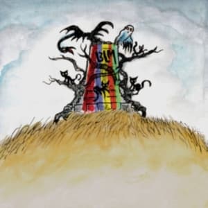 Drive-By Truckers - New Ok (CD)