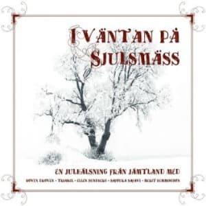 Blandade Artister - I Väntan På Sjulsmäss (CD)
