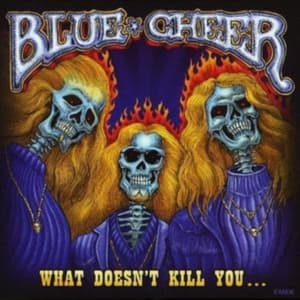 Blue Cheer - What Doesn't Kill You ? (CD)