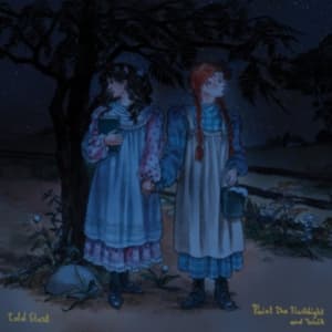 Told Slant - Point The Flashlight And Walk (CD)