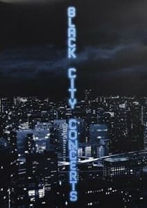 Indochine - Black City Concerts -Box Set- (CD)