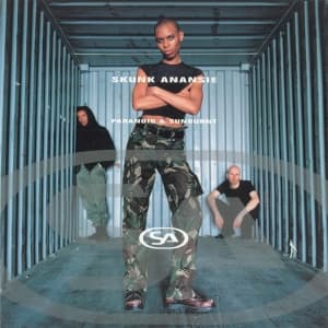 Skunk Anansie - Paranoid & Sunburnt (CD)