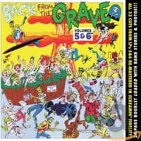 V/A - Back From The Grave Vol 5 & 6 - Vol 5 & 6 - Back From The Grave (CD)