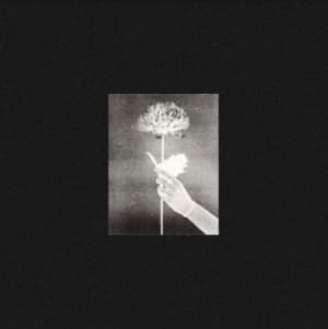 White Flowers - Day By Day (CD)