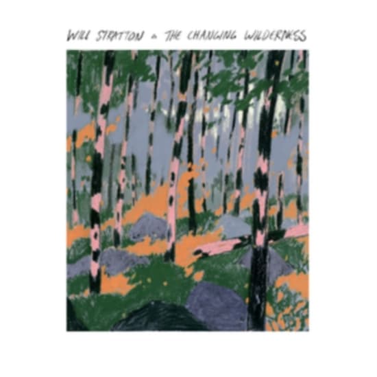 Stratton Will - Changing Wilderness (CD)