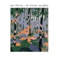 Miniatyrbillede 2 af 2: Stratton Will - Changing Wilderness (CD)
