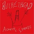 Miniatyrbild 1 av 2: Buckethead - Acoustic Shards (CD)