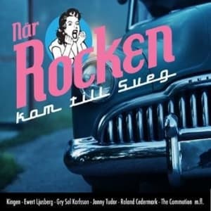 Blandade Artister - När Rocken Kom Till Sveg (CD)