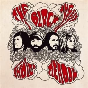 Black Angels - Indigo Meadow (CD)
