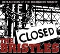 Miniatyrbild 1 av 2: Bristles - Reflections Of The Bourgeois Societ (CD)