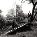 Miniatyrbilde 1 av 2: Timber Timbre - Timber Timbre (CD)