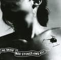 Miniatyrbilde 2 av 2: Thao With The Get Down Stay Down - We Brave Bee Stings And All (CD)