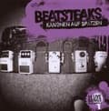 Pikkukuva 2 / 2: BEATSTEAKS - KANONEN AUF SPATZEN - 14 LIVE (CD)