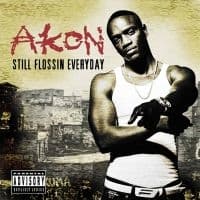 Akon - Still Flossin Everyday (CD)