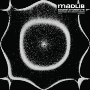 Madlib - Sound Ancestors (arranged By Kieran Hebd (CD)