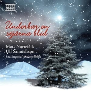 Various - Underbar En Stjärna Blid (CD)