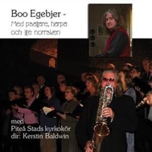 Egebjer Boo - Med Psaltare, Harpa Och Lite Norrsk (CD)