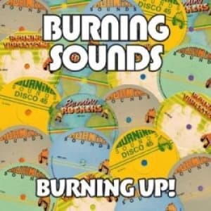Blandade Artister - Burning Up! (4 Cd) (CD)
