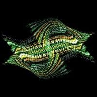 Bogus Order - Zen Brakes Vol. 2 (CD)