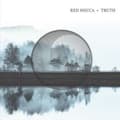 Miniatyrbillede 1 af 2: Red Mecca - Truth (CD)