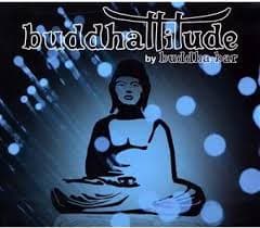 Various Artists - Buddhattitude 3Cd  (CD)