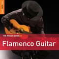 Miniatyrbild 1 av 2: Blandade Artister - Rough Guide To Flamenco Guitar **2X (CD)
