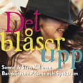 Miniatyrbild 1 av 2: Källman Sanna Källman Sten Barn - Det Blåser Upp (CD)
