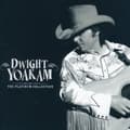 Miniatyrbillede 1 af 2: DWIGHT YOAKAM - DWIGHT YOAKAM - THE PLATINUM C (CD)