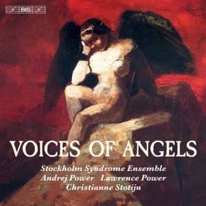 Blandade Artister - Voices Of Angels - Chamber Works
