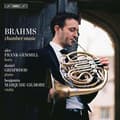 Pikkukuva 1 / 2: Brahms Johannes - Chamber Music