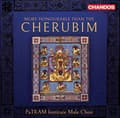 Miniatyrbillede 1 af 2: Anonymous Pavel Grigorievich Chesn - More Honourable Than The Cherubim