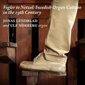 Valborg Aulin Hermann Berens Fran - Vogler To Netzel: Swedish Organ Cul (CD)